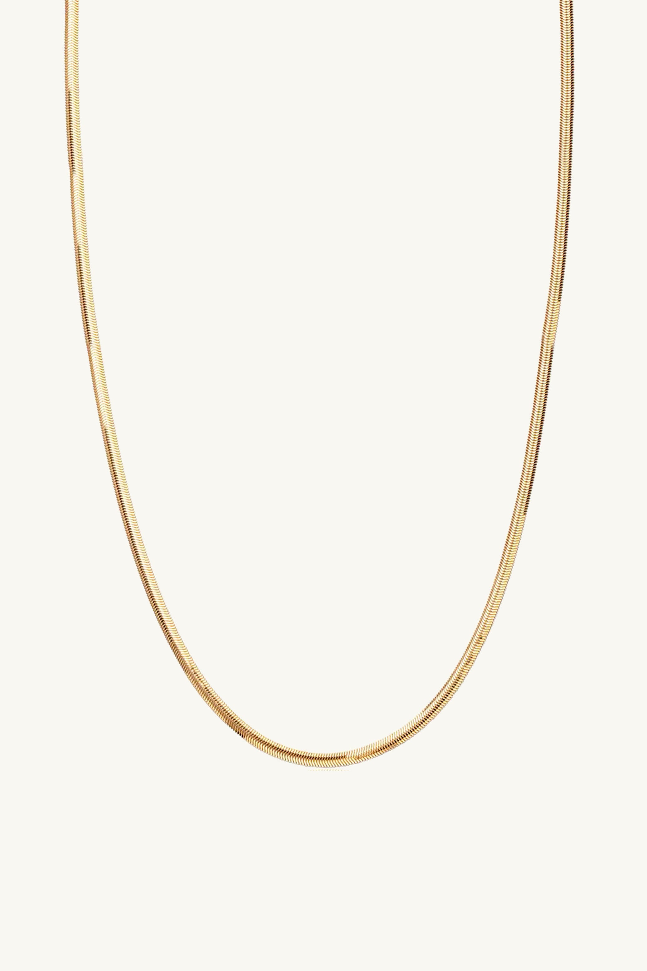 Charlie Chain Necklace