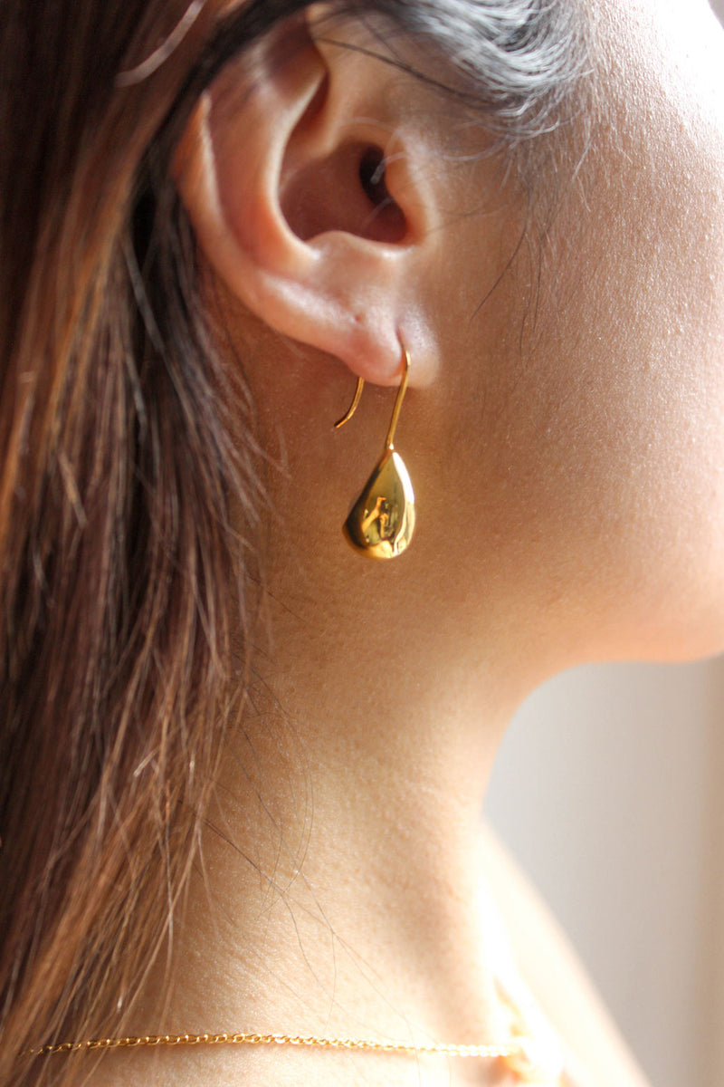 Lustrous Gold Earrings