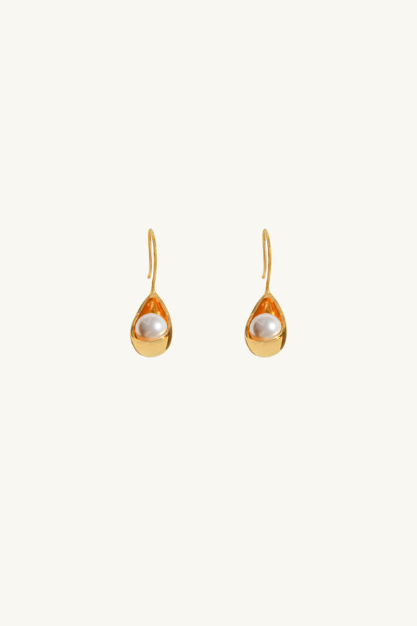 Lustrous Gold Earrings