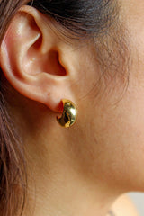 Gleam Earrings