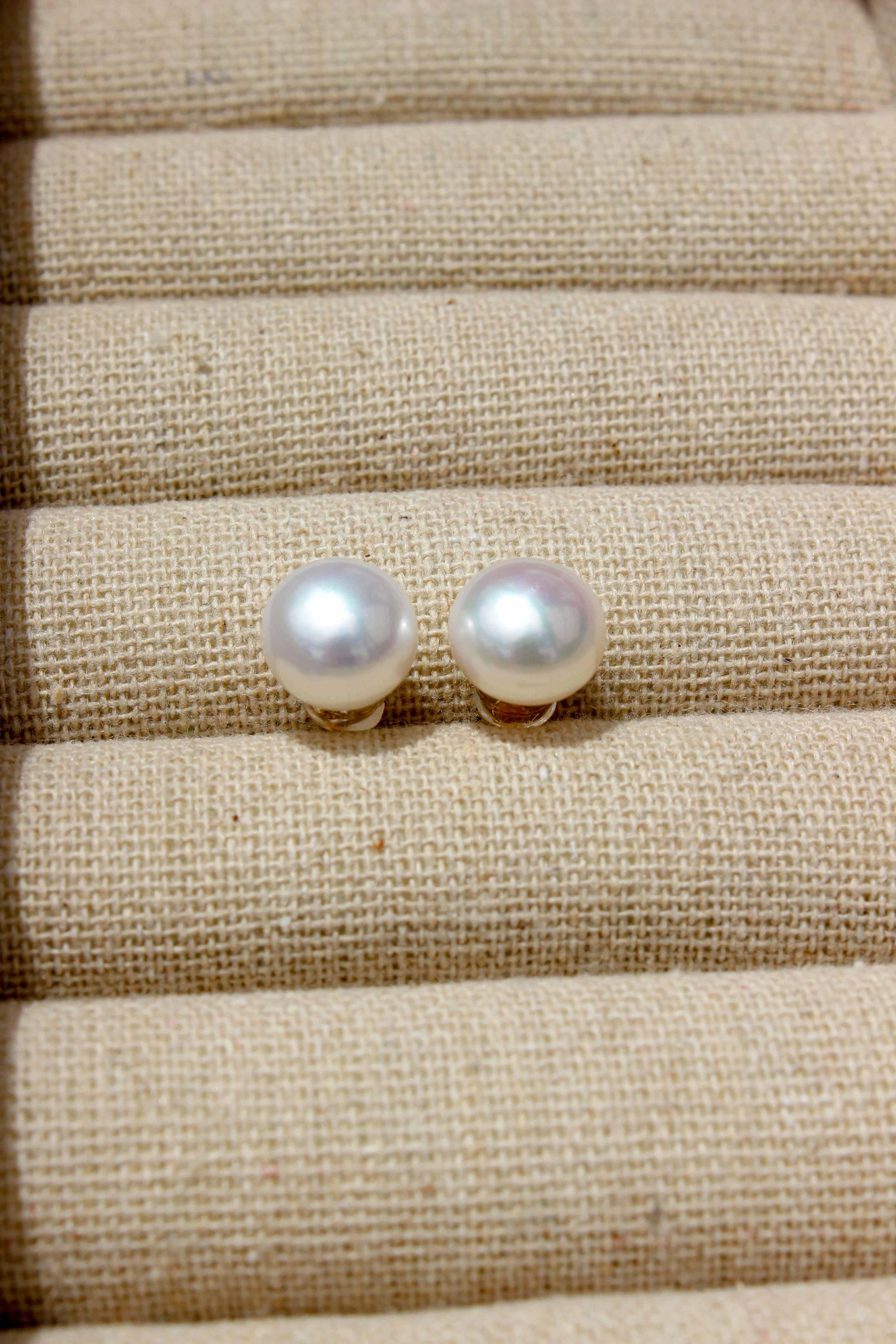 Bridget Pearl Stud Earrings/10mm - Complete. Studio